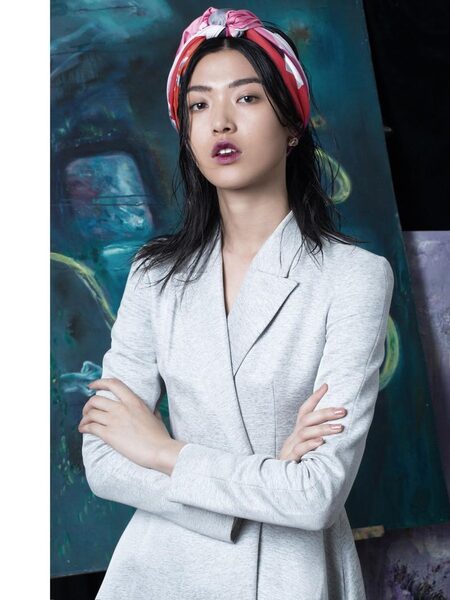 ucsmodels