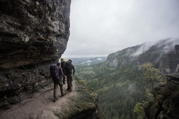 naturalbornexplorers