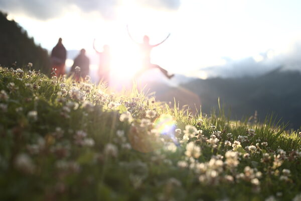 naturalbornexplorers