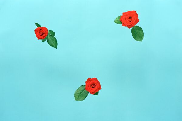 inaphotography
