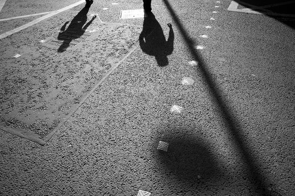 birgit-stoever