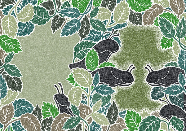 NOVELLIX bestseller with new illustrated covers by <b>Malin ROSENQVIST</b> c/o Agent Molly