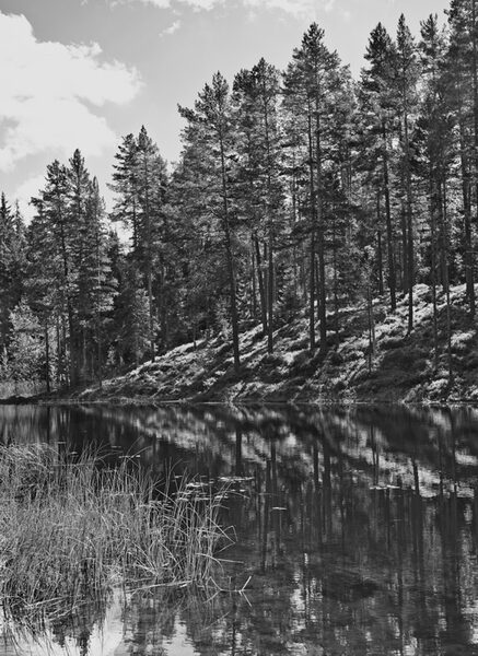 sonjaheintschel