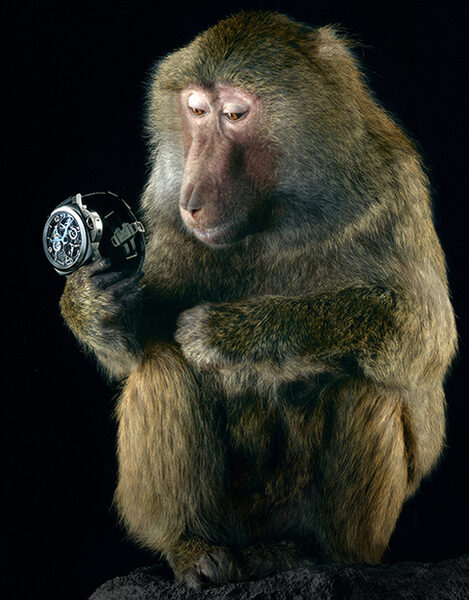 claudianerger