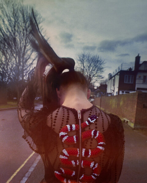 shotview
