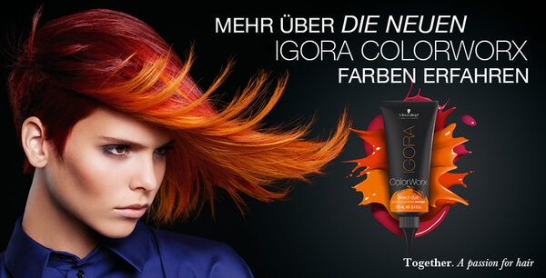 'Essential Looks' celebrate the passion all hairdressers have for hair, fashion and upcoming trends and realizes them skillfully in an exquisite and luxurious trend catalog, plus the Schwarzkopf brand OSiS image video on GoSee. Produced by ROBA IMAGES