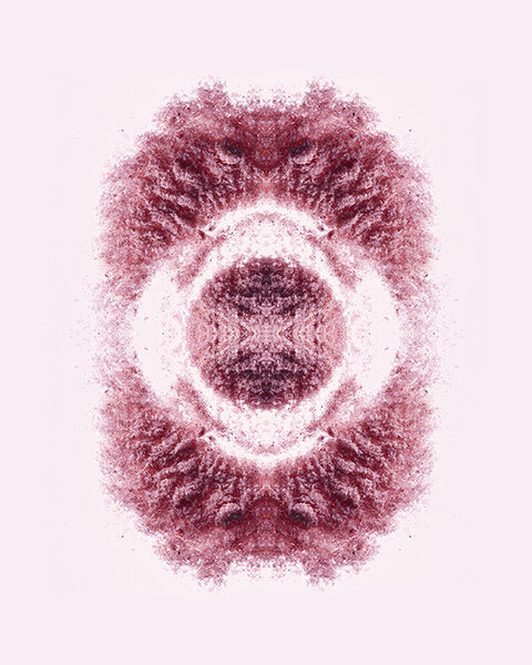 claudianerger