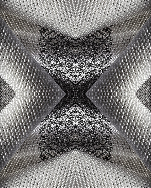 claudianerger