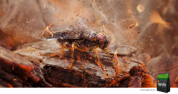 CGI for IGNITE 'Instant light' charcoal and the ORAJEL tooth campaign by <b>CARIOCA STUDIO c/o VISUALEYES ARTISTS</b>