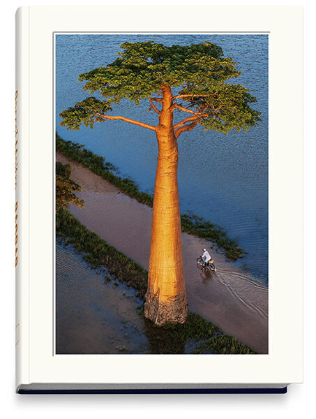 <b>EDITION LAMMERHUBER</b> presents the illustrated book 'BAOBAB – The Magic Tree' Photos by French Photographer Pascal Maitre on the fascinating world of the Baobab trees of Madagascar