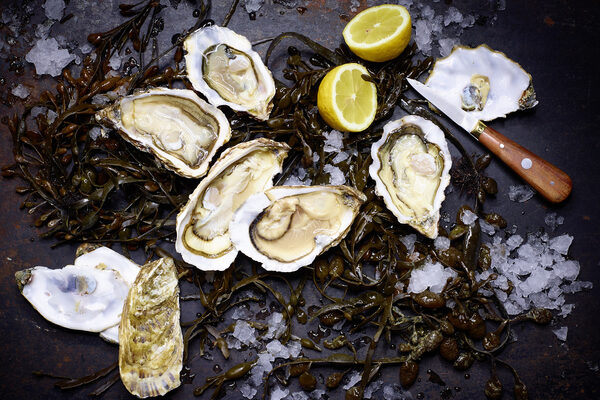 juliawaldmann