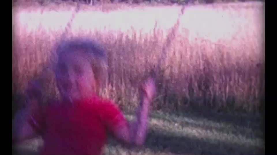 MANIFESTO - the film for THE ANIMAL OBSERVATORY by Felipe Cano & Ivó Vinuesa, produced by <b>DORA JOKER</b>, Barcelona