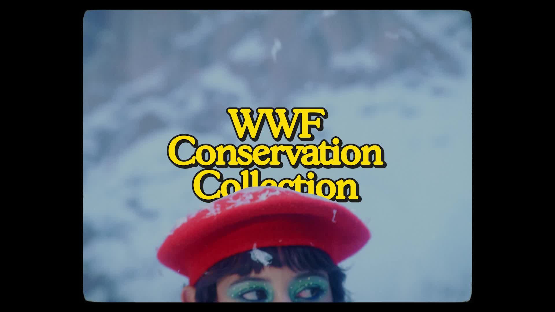 Cooler than the Arctic and Antarctic together : the <b>WWF </b>demands for the festivities at the end of the year : ‘<b>TRANSFORM A CHRISTMAS TRADITION INTO CONSERVATION</b>’