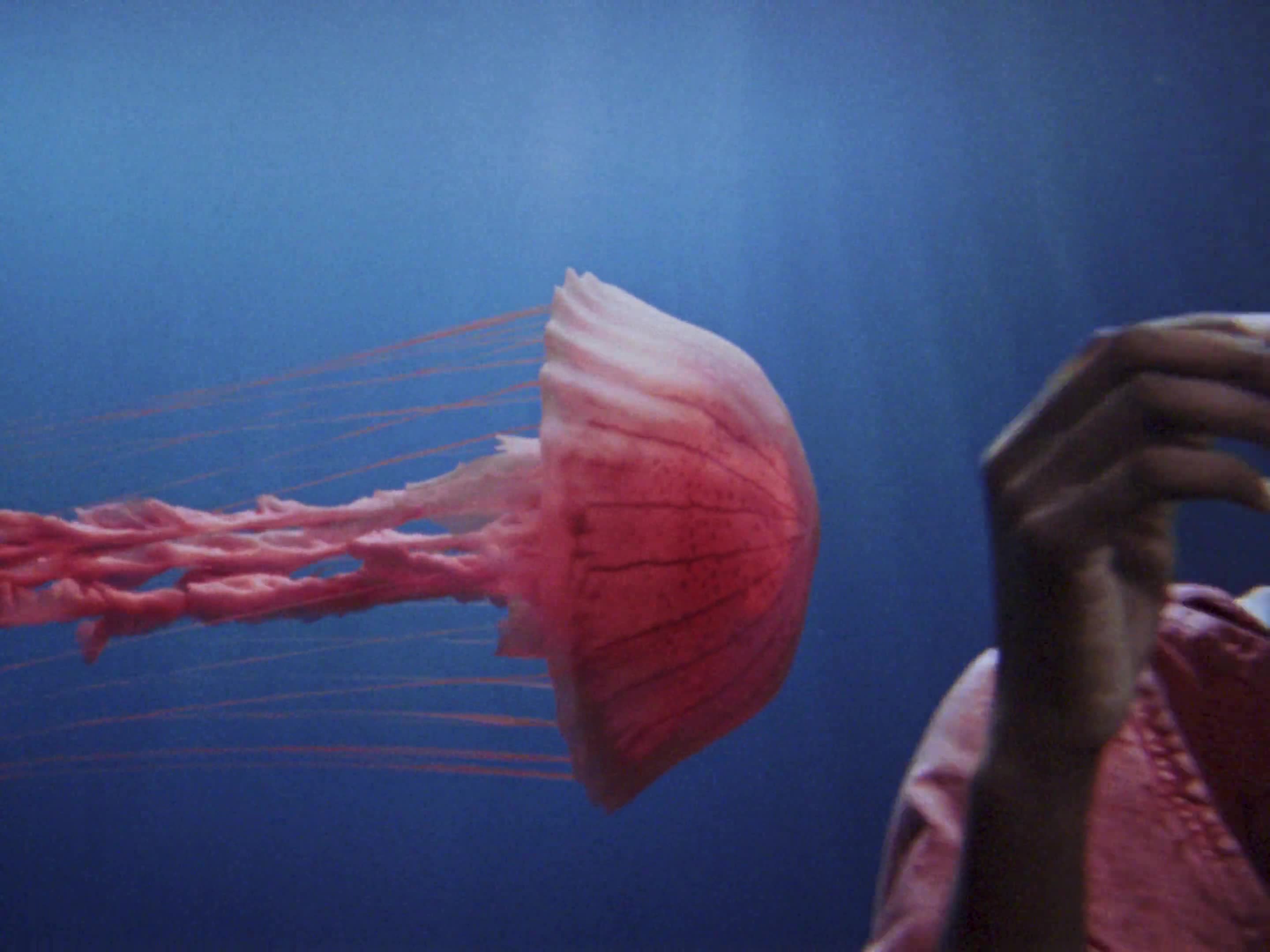 <b>ANALOG DIGITAL</b> : Dive into Style and Innovation: the campaign for the new <b>SWATCH SCUBAQUA</b> collection by Director GRAJPER &amp; BIG STUDIOS – Brazilian CGI Power with a Fun Factor